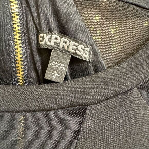 Express Black Mesh V Neck Long Sleeve Stretchy Mini Dress Large - Picture 4 of 6